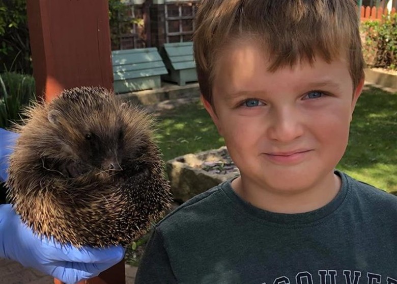 拼盘/男童心系刺猬福祉 与父骑脚车逾千公里筹款