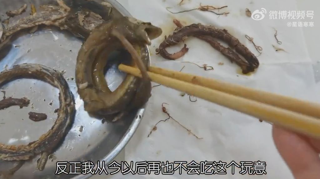 拼盘/鳝鱼剥开赫见数百条 女主人吓歪:这辈子再也不吃了