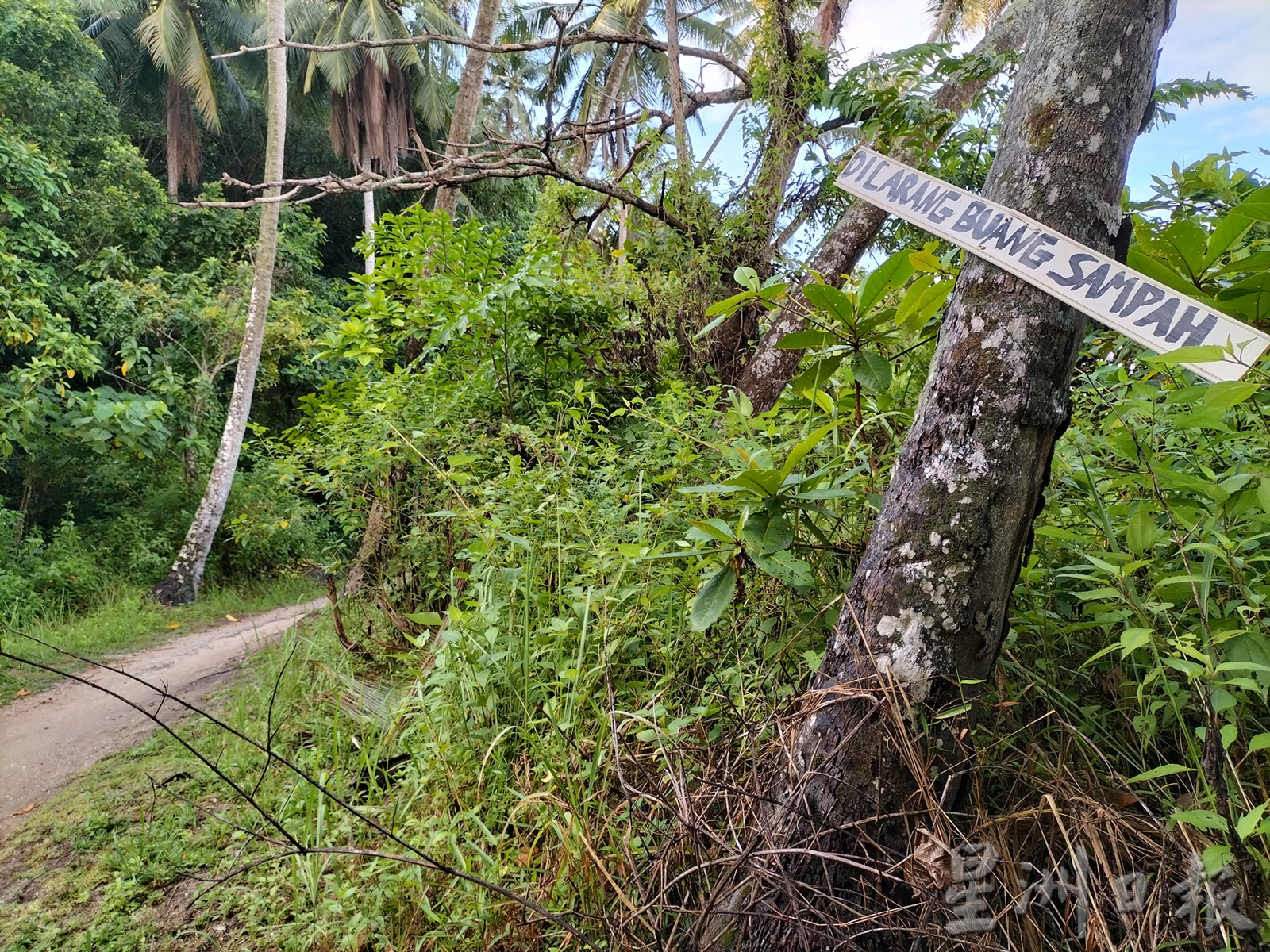 暖势力／不留（全国版）高名气引来人潮也引来垃圾 登山客组织号召到Pantai Esen捡垃圾