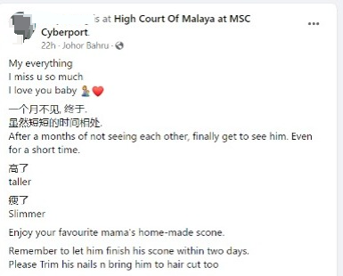 机场目睹丈夫与女牵手  律师：儿子抚养权暂判母亲