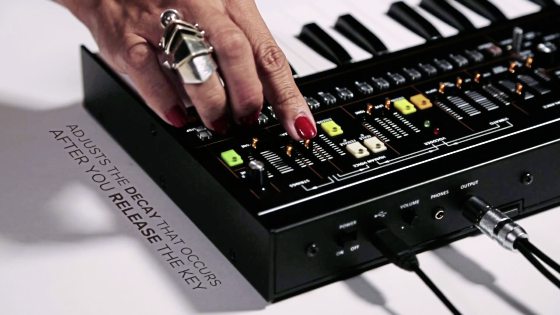 林佚／Vocoder的“斜杠”人生