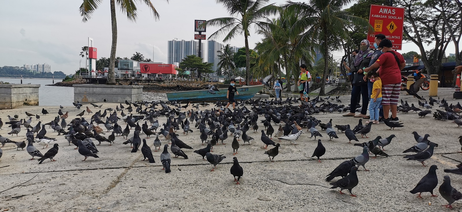 柔:曾笳恩:改善公交系统及设施,吸引工薪族改乘巴士减缓拥堵