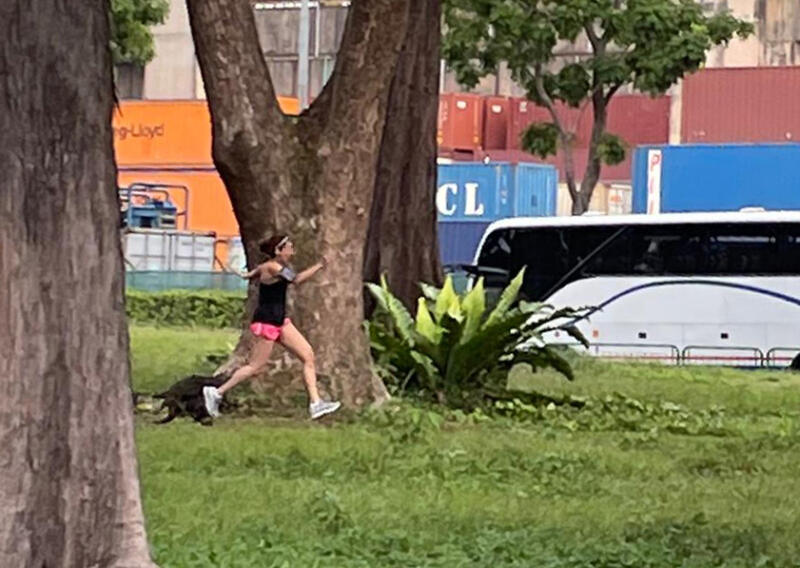 女郎跑步遭成群水獭‘追击’