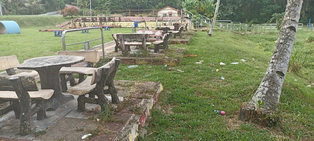 民众卫生意识欠佳 淡边湖滨公园遍布垃圾