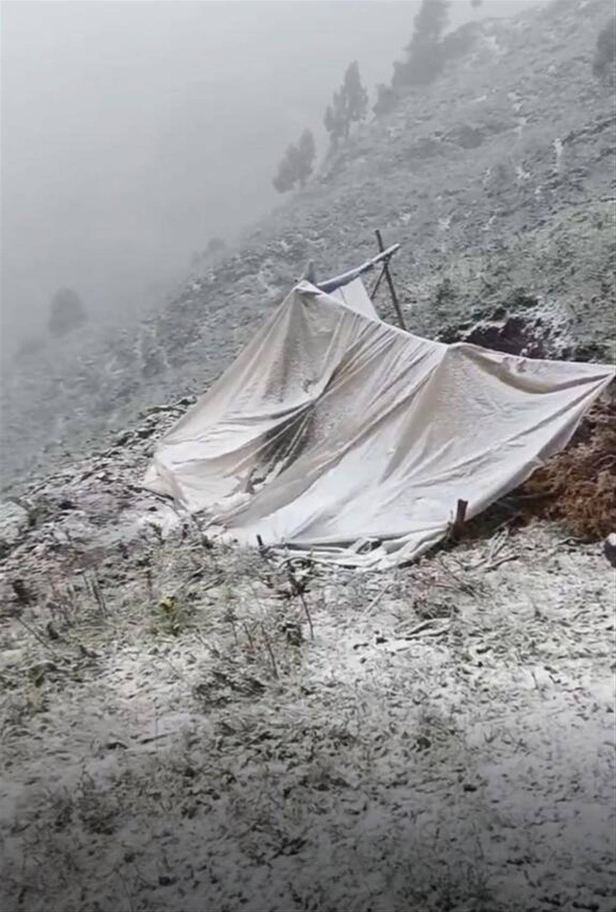 福建高温冲摄氏41度　甘肃青海祁连山飘7月雪