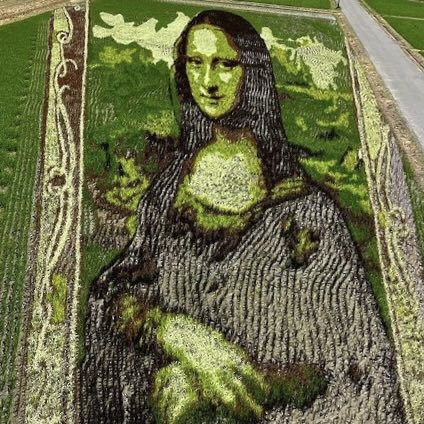稻田艺术展复办 蒙娜丽莎再现田舍馆村