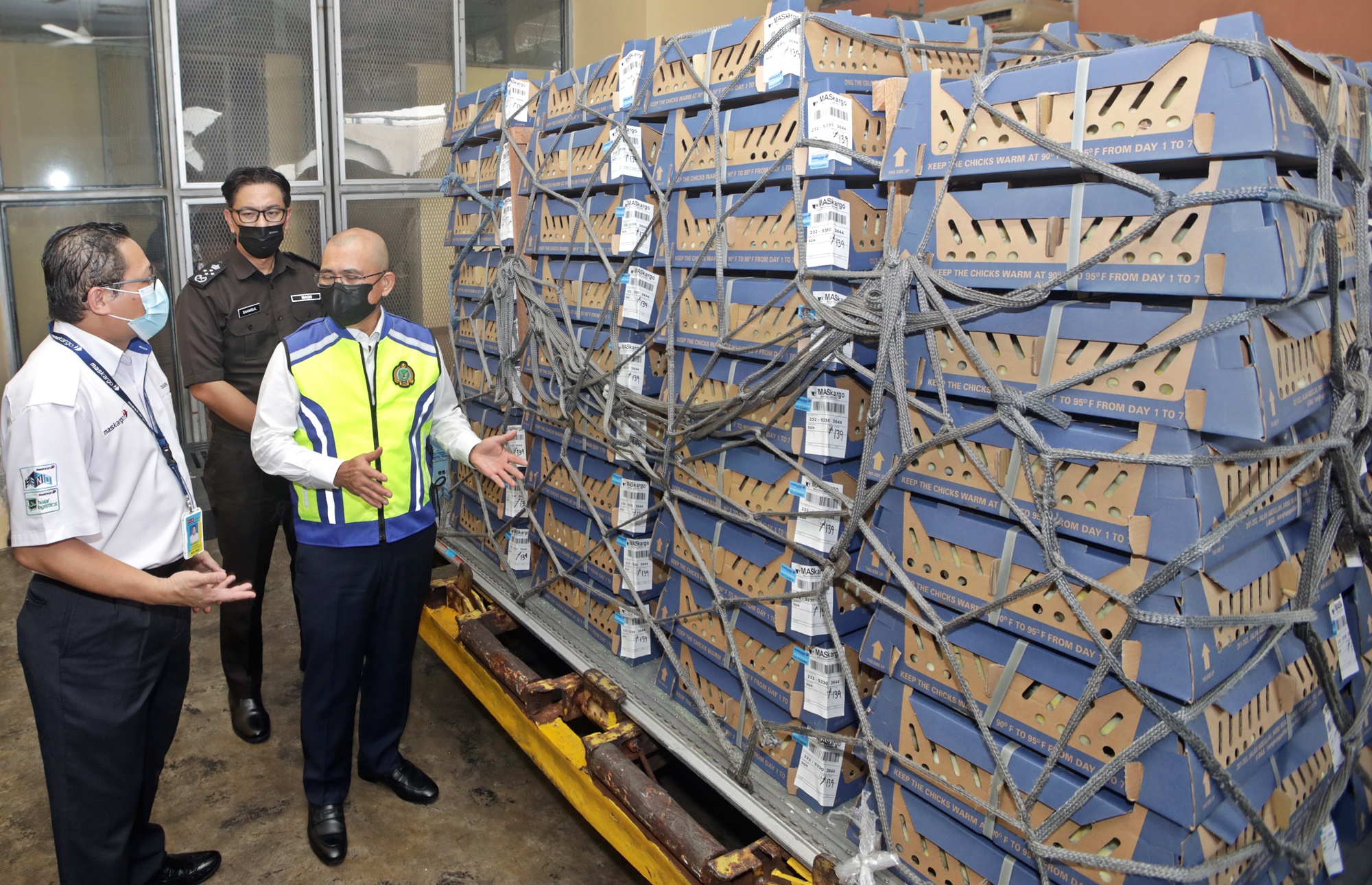 罗纳建迪:进口鸡肉数量增加80%