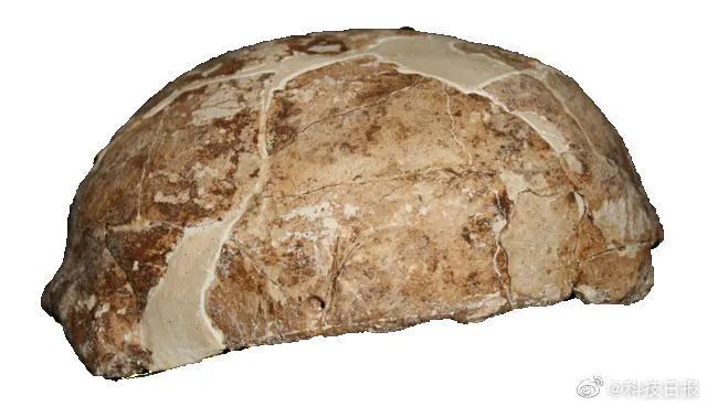 美洲原住民可能来自云南