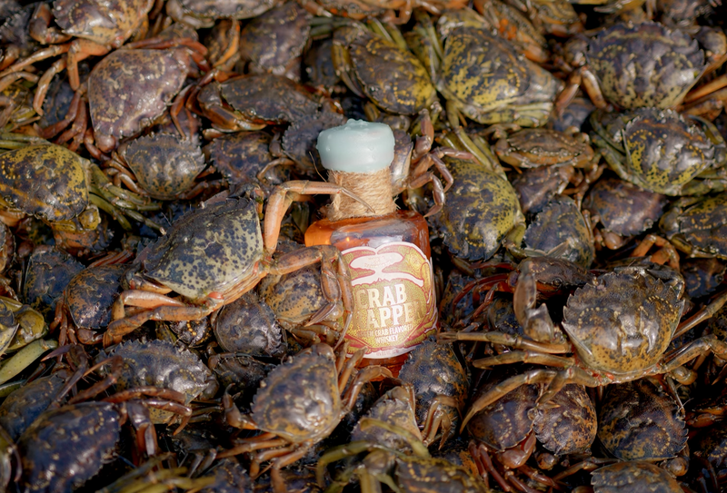 螃蟹大军入侵酒厂!祭出“酿成威士忌” 围捕外来种