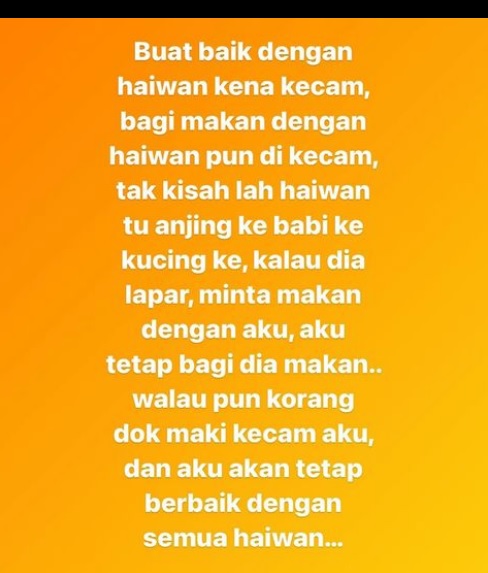 视频|与狗合照被非议 马来女星：“善待动物有什么问题？”