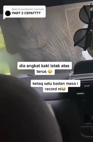 视频|哈芝节返乡遇大象拦路 女乘客吓坏膝盖抖不停