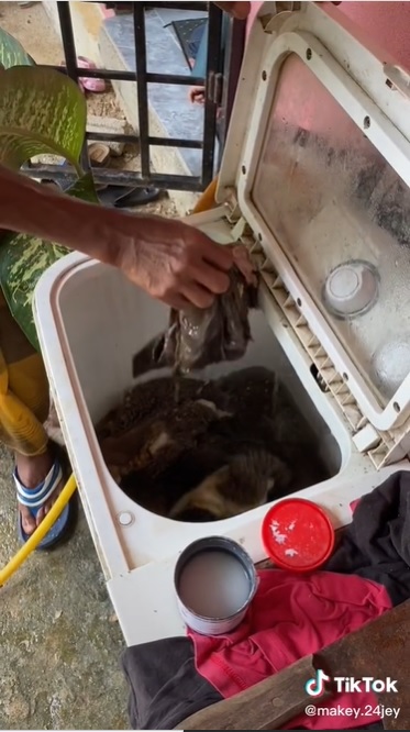 视频|男子洗衣机洗牛肚惹议  网问：“洗衣机不臭吗？”