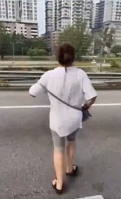 视频|高速公路疑被老公赶下车 妇女获路过男子搭救