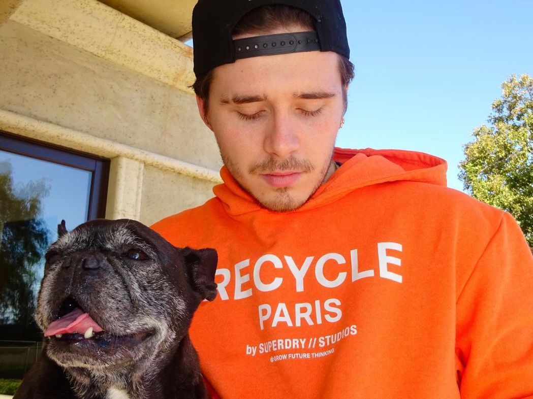 贝克汉姆长子拿527万不办事? 布鲁克林惨被潮牌炒鱿鱼