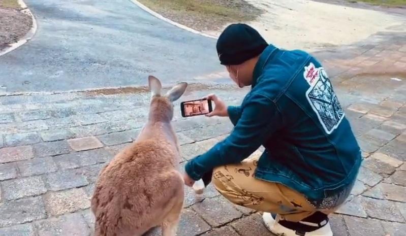 蹲下陪袋鼠看新歌MV 周董狂问1句话网爆笑