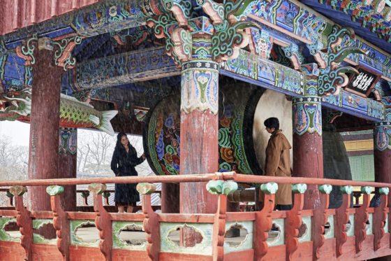 陈头头/《分手的决心》人工泪液中看爱情山水