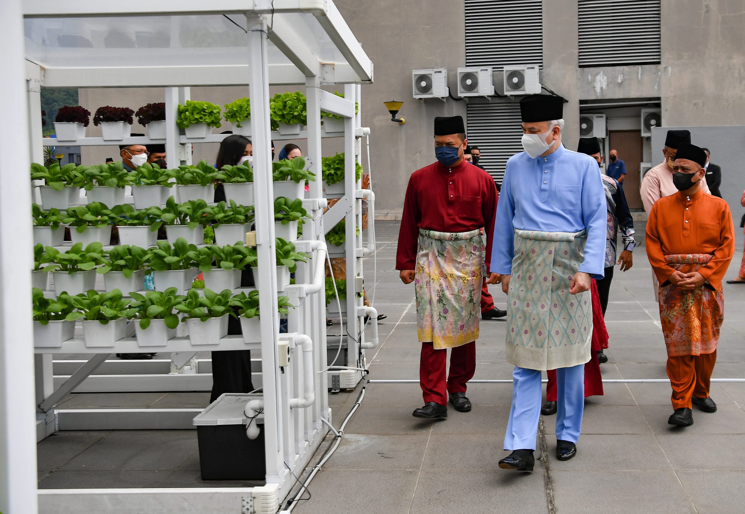 霹苏丹对大马粮食安全表担忧 仅17%农业地生产粮食