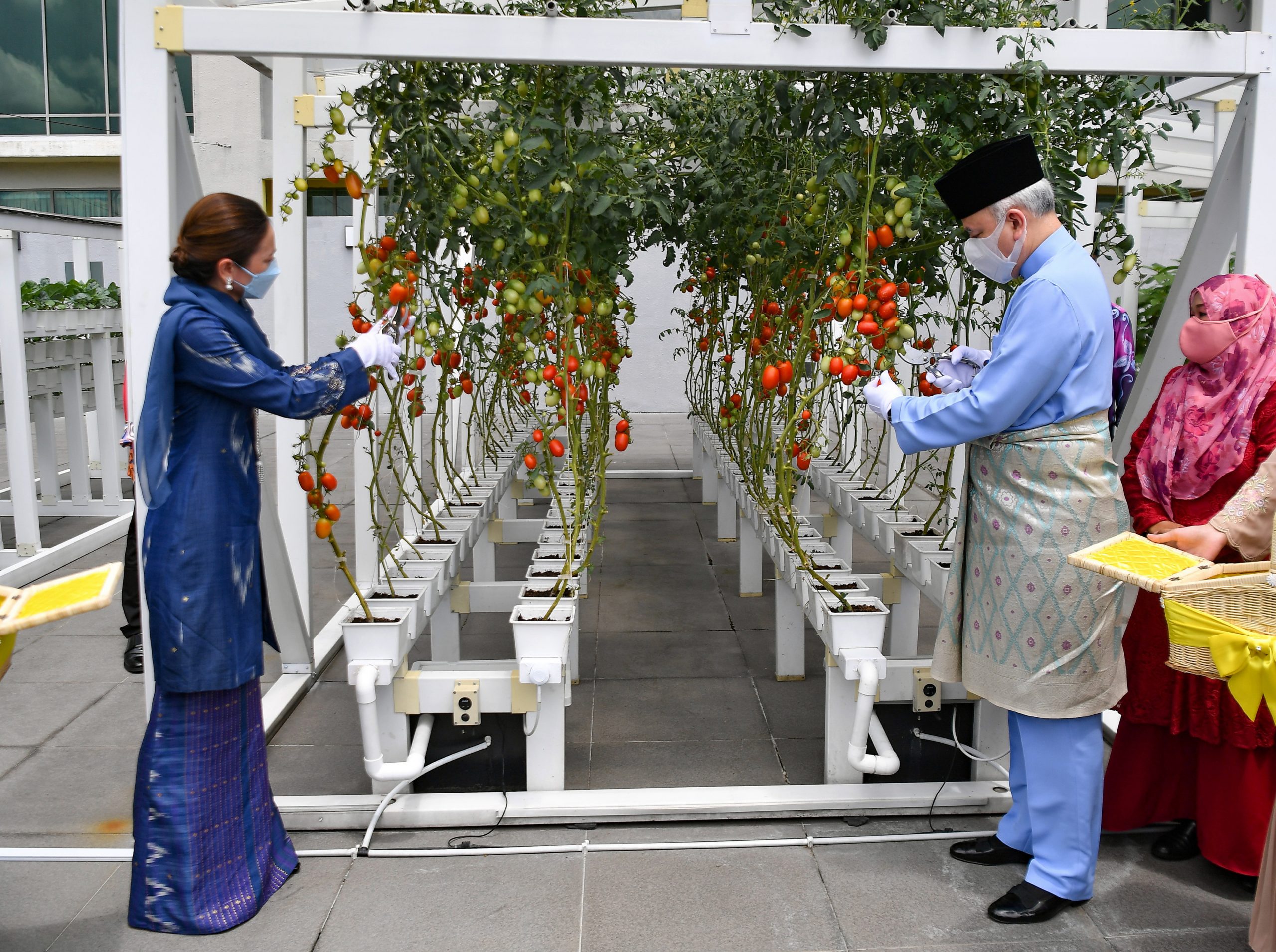 霹苏丹对大马粮食安全表担忧 仅17%农业地生产粮食