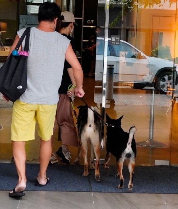 黄心颖约满无线回复自由 确认泥鯭男友身分兼同居	