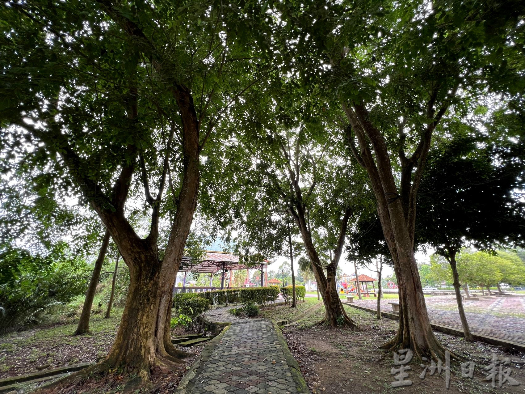 （古城封底主文）《用眼睛去旅游》：吉双河