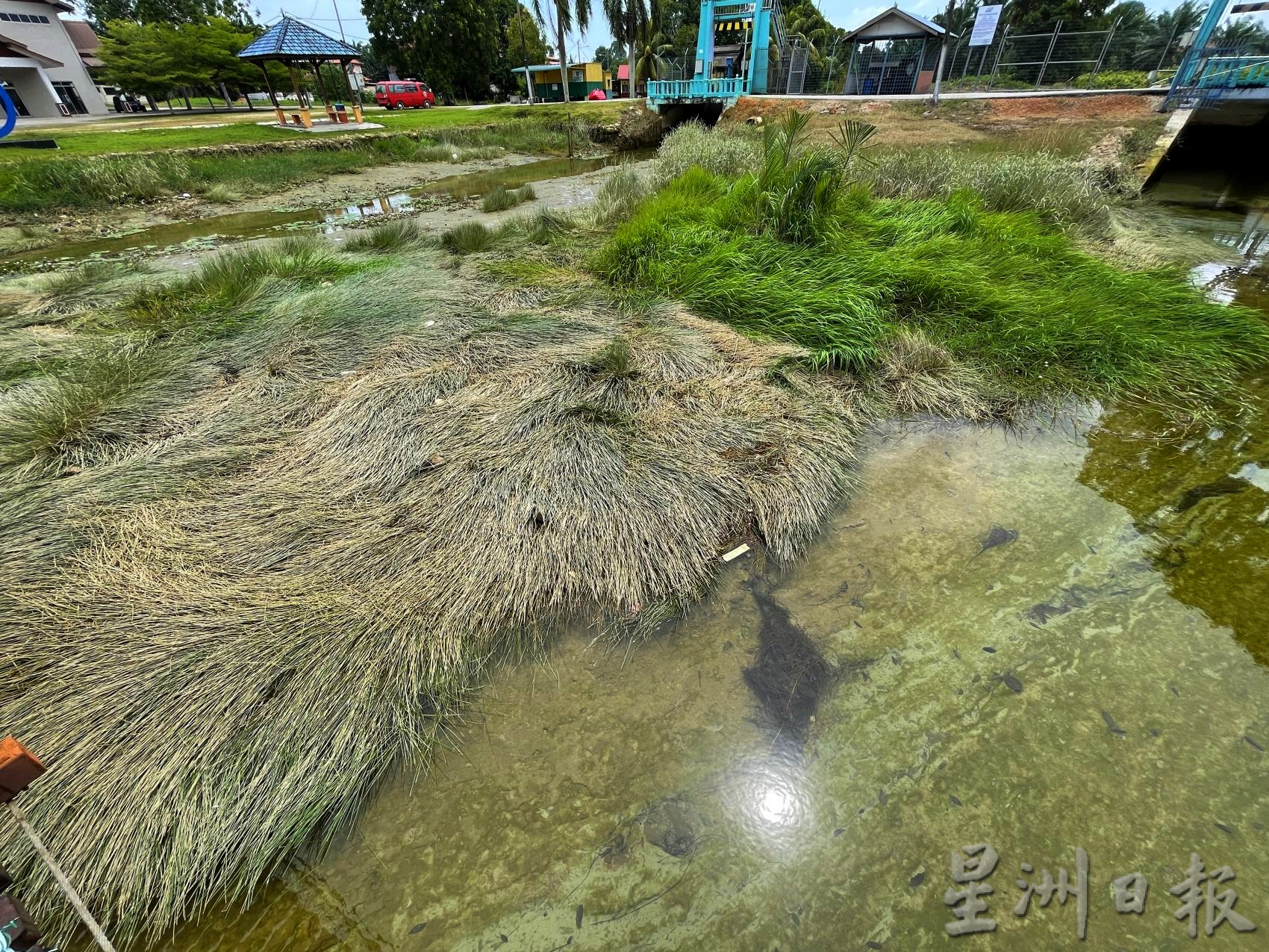 （古城封底主文）《用眼睛去旅游》：吉双河