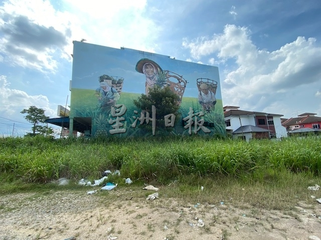 (已签发)柔:大型壁画“黄梨海”无人打理,下方杂草丛生