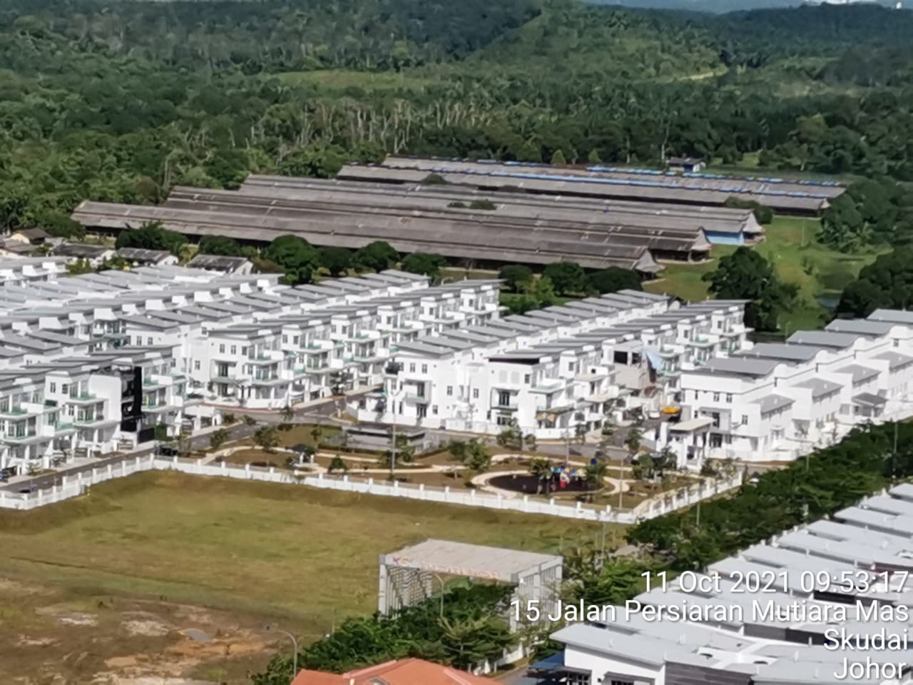 住宅区靠近养鸡场,居民吁当局解决臭味问题
