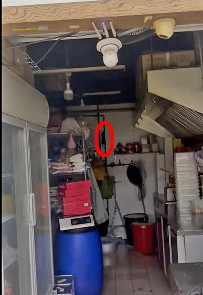 狮城购物中心　孕妇用餐惊见4只老鼠乱窜