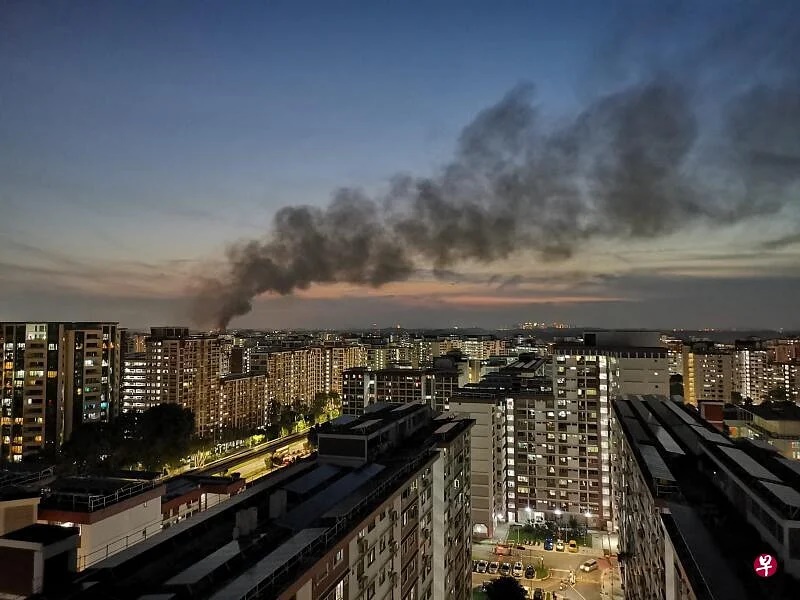 (已签发)柔:狮城二三事:疑电线短路引火患 苗圃火患鹦鹉被烧死