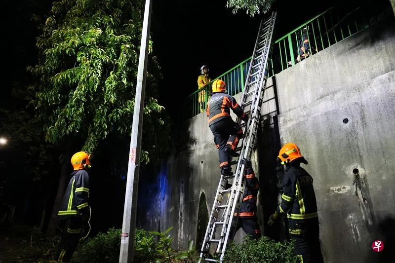(已签发)柔:狮城二三事:疑电线短路引火患 苗圃火患鹦鹉被烧死