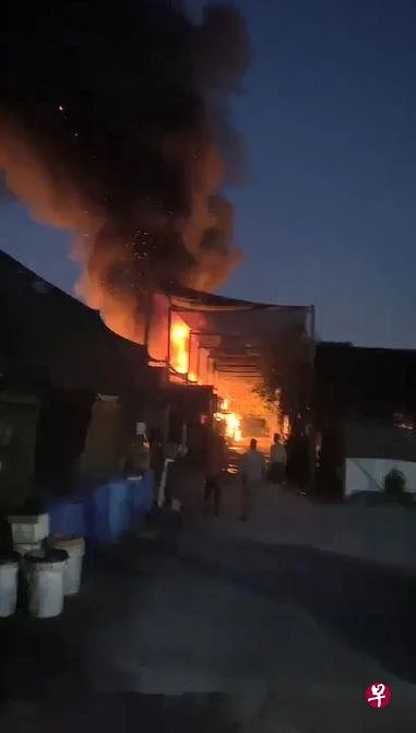 (已签发)柔:狮城二三事:疑电线短路引火患 苗圃火患鹦鹉被烧死