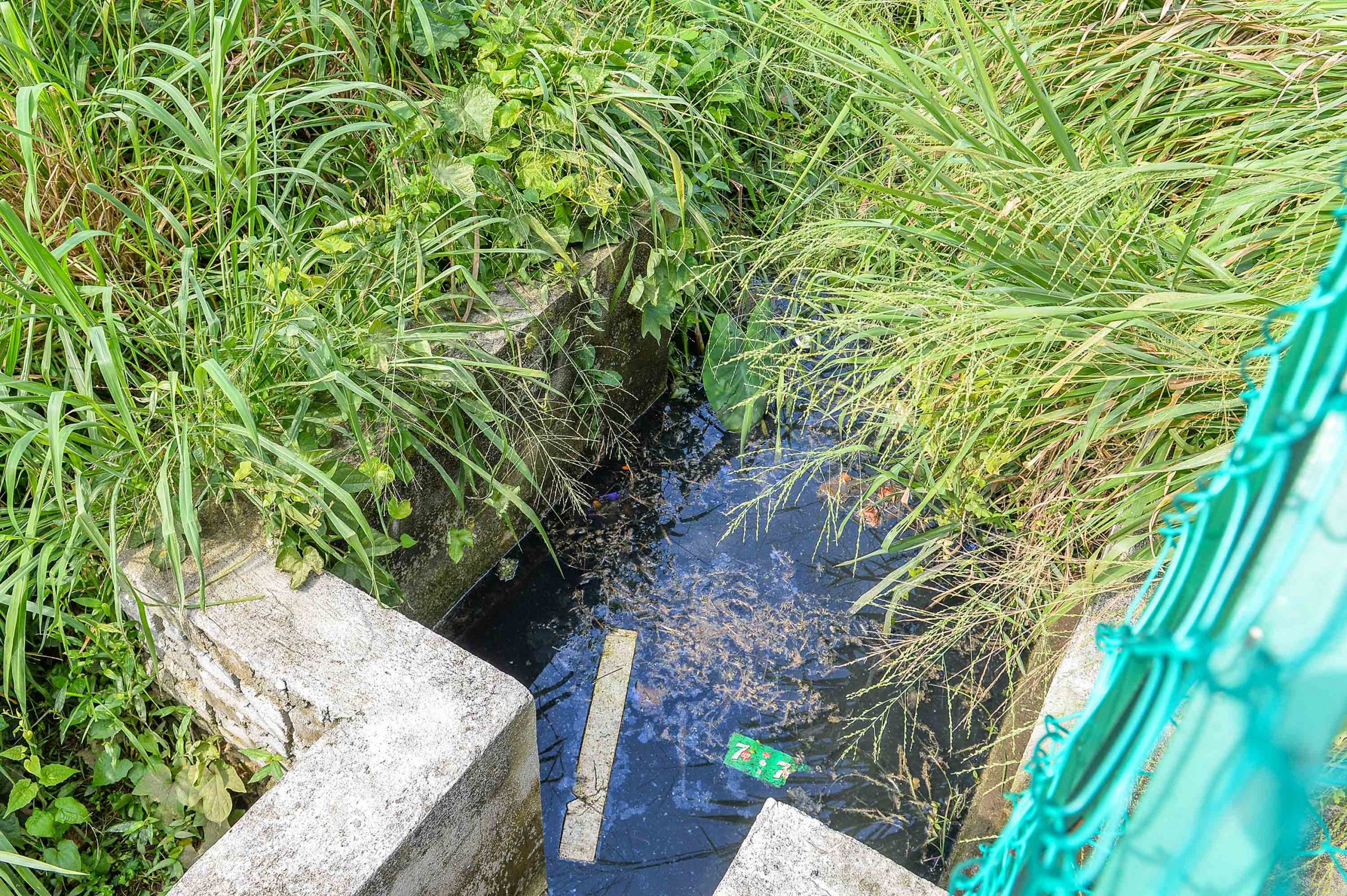 NS花城大小事／路要自己铺、沟渠要自己挖，甘榜巴西民生问题投诉无门