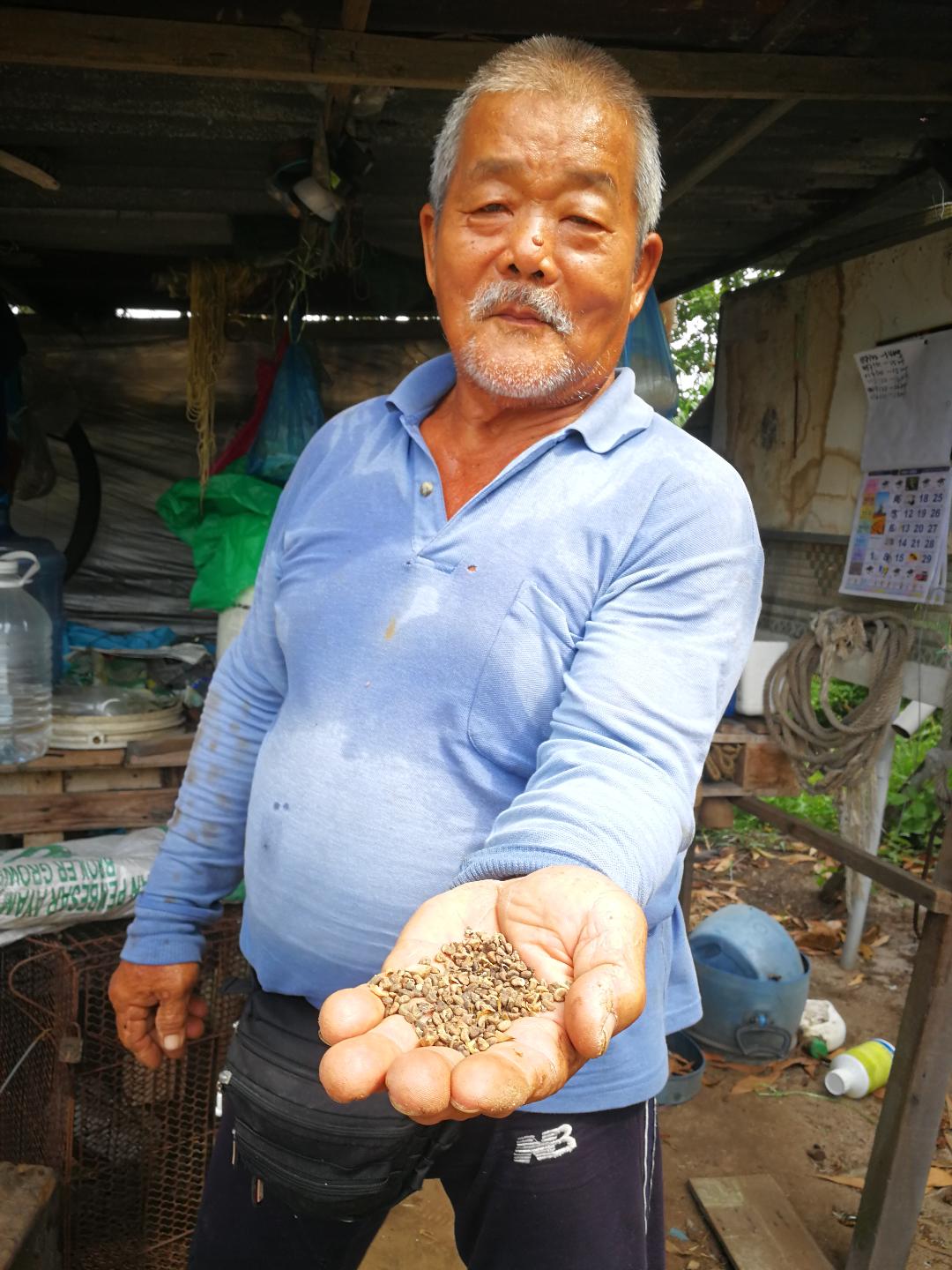 pk★7月18日刊登/【农的传人】大霹雳封底主文//种酸菜