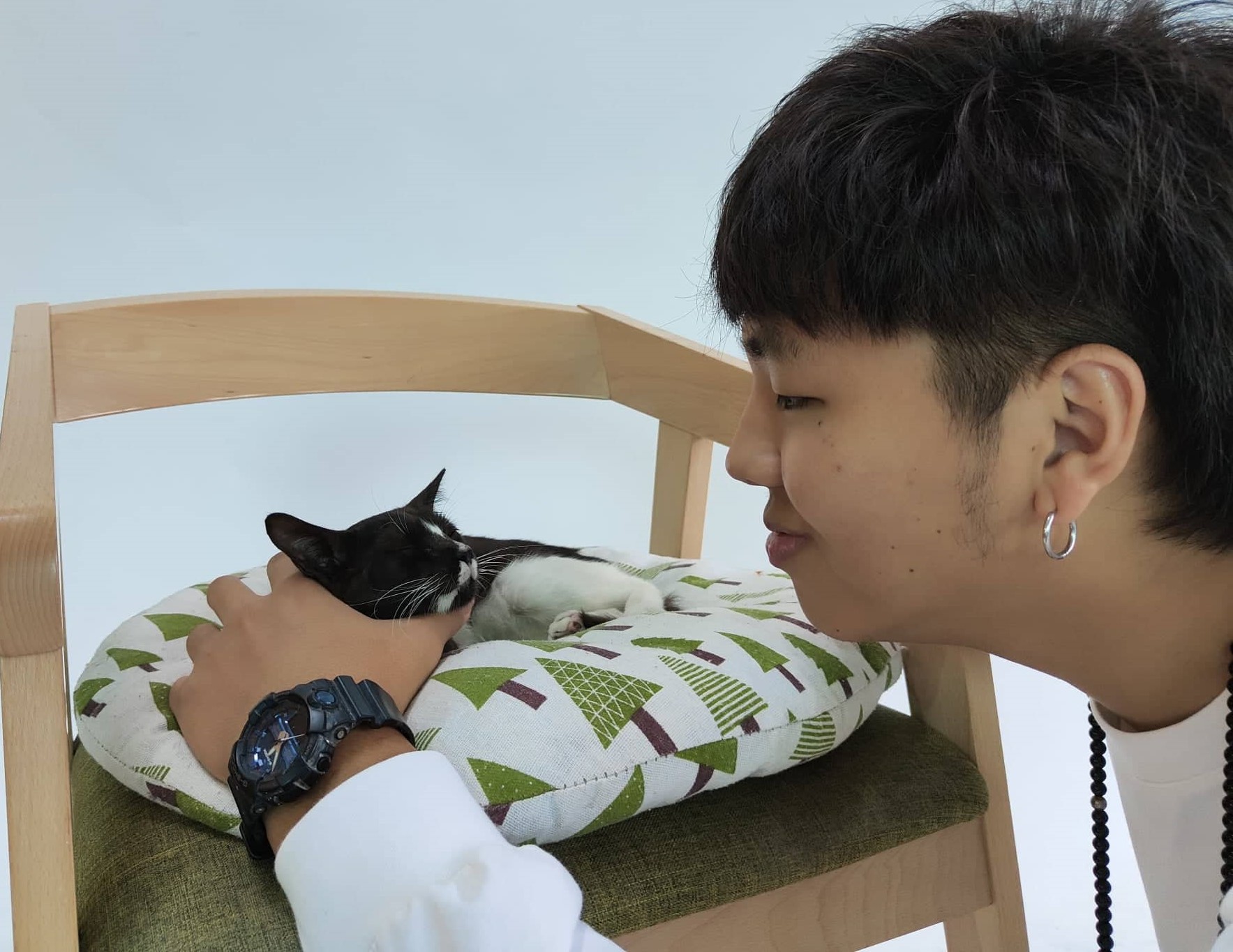pk★7月30日刊登【我家萌宠】／大霹雳封底主文／摄影室流浪猫变宠物猫