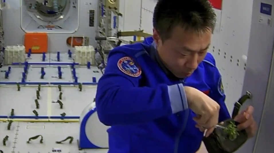 “神舟十四”太空人太空“种菜”