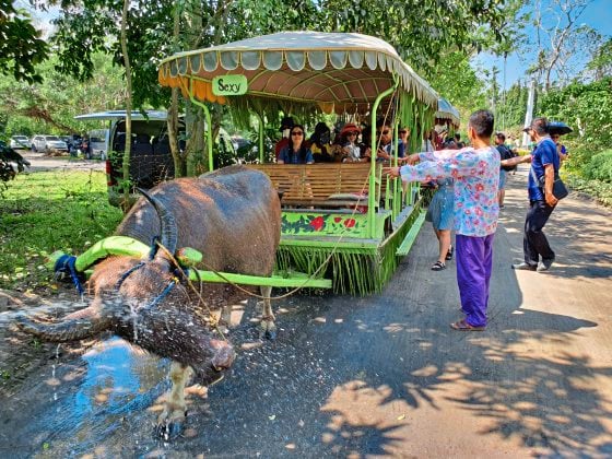 【菲律宾】埃斯库德罗别墅，归隐田园好风光