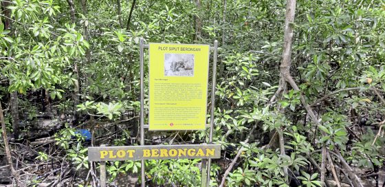 【马来西亚‧柔佛】在亚洲大陆最南端，寻觅天涯海角