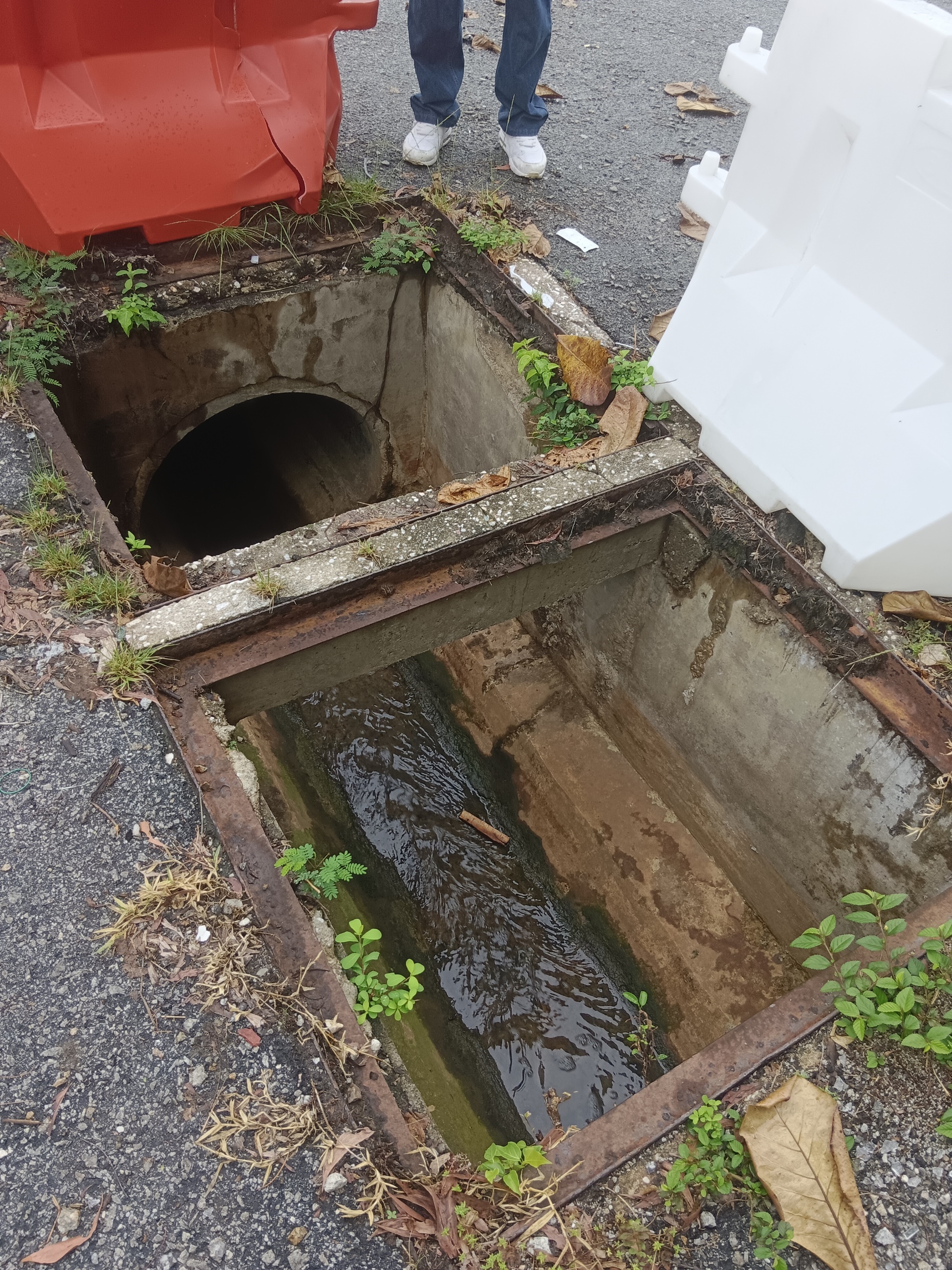 万里望4地路洞久未修 威胁道路使用者安危