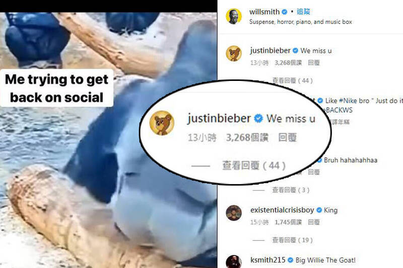 上载猩猩视频暗喻回归受阻  韦尔史密夫惹粉丝心疼