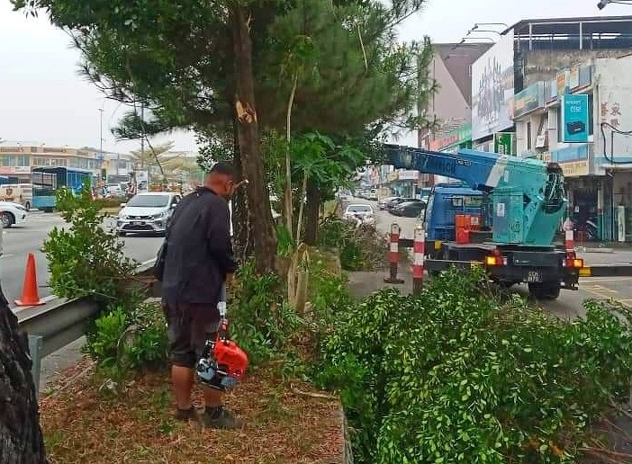 东03：国庆日即将到来，淡马鲁市议会美化组人员日前在淡马鲁市区和街道范围，进行美化和修葺工作。