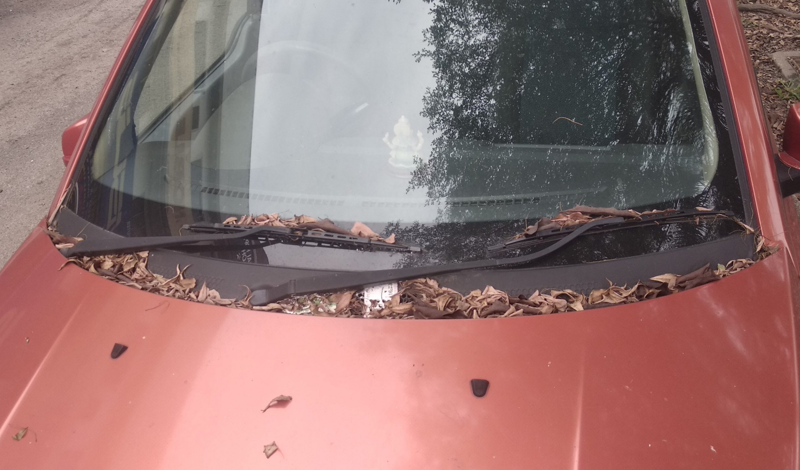 东:一辆普腾轿车停放在文德甲淡马鲁路商业区至少三个月无人驾驶,附近商家怀疑是报失车辆。