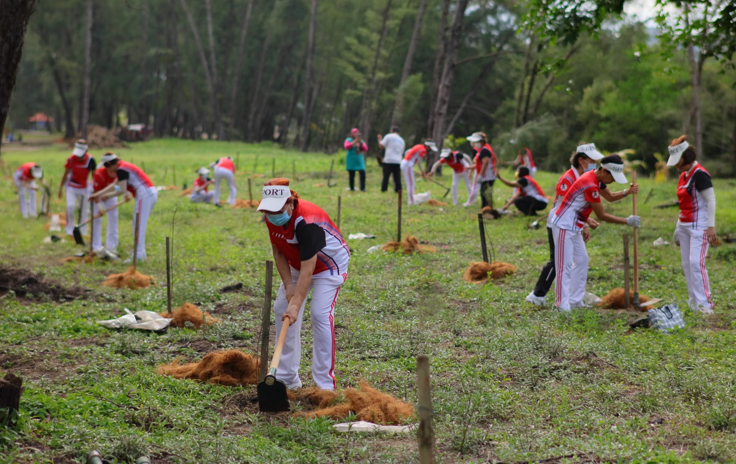 东:市政厅在哥罗乐公园种树200棵。