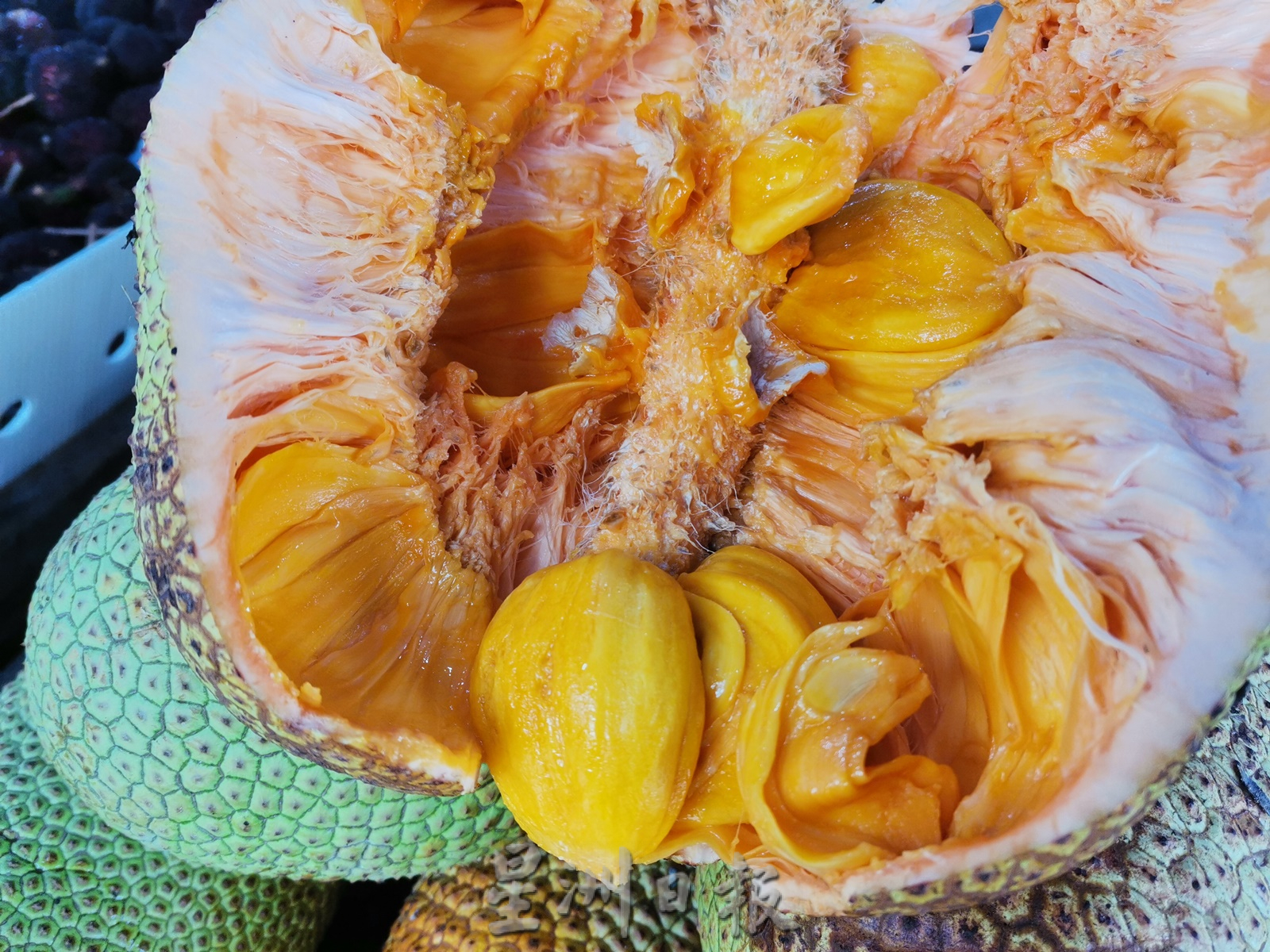 东:收成减但不影响销量 尖不辣飘香热卖