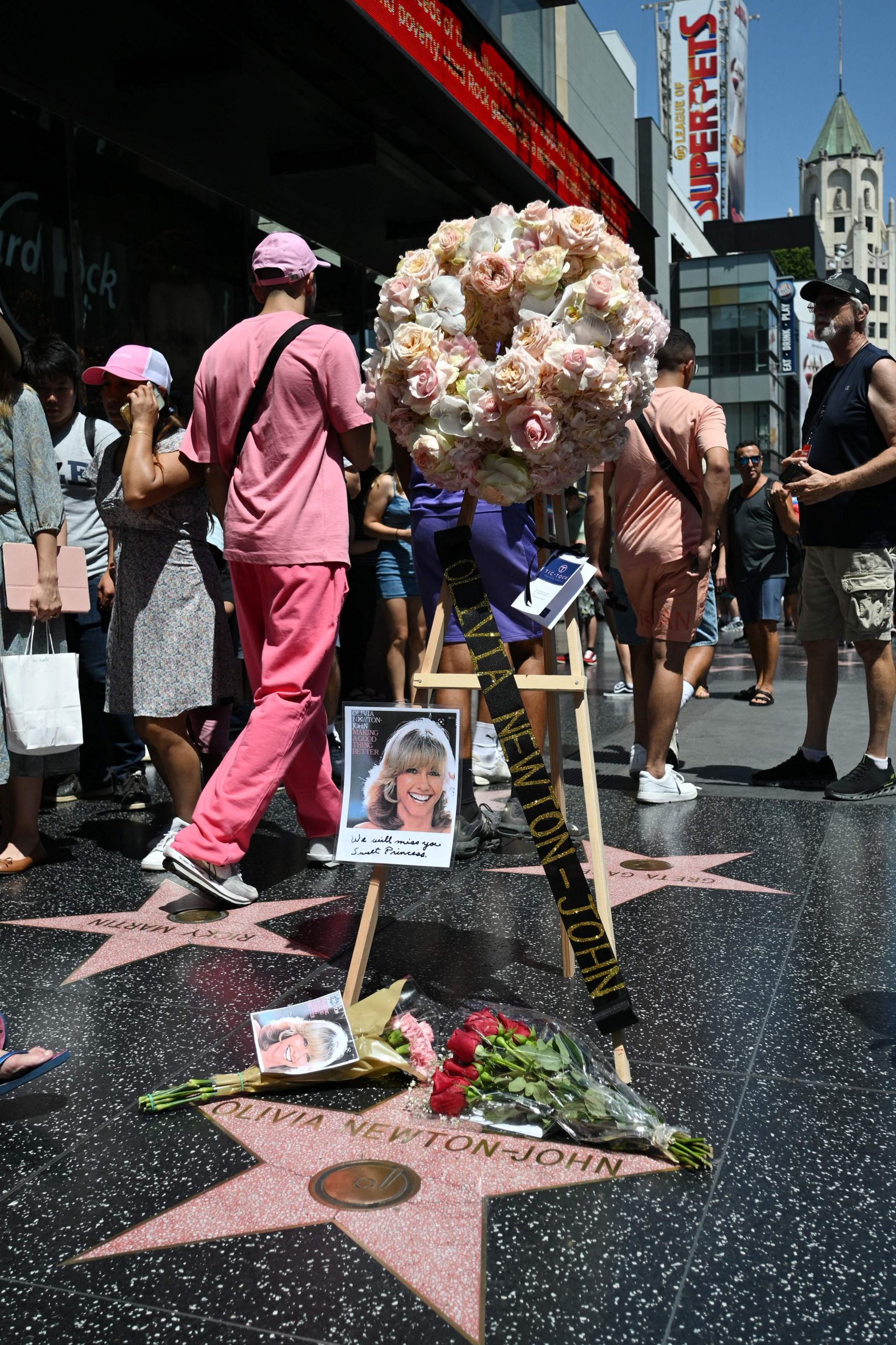 传奇谢幕|73岁奥莉维亚纽顿庄病逝 生前与乳癌缠斗30年