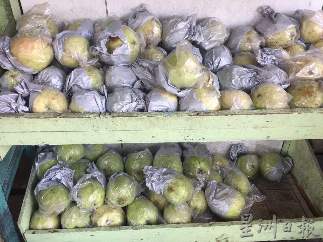 吃的人多种的少 本地水果价格高涨