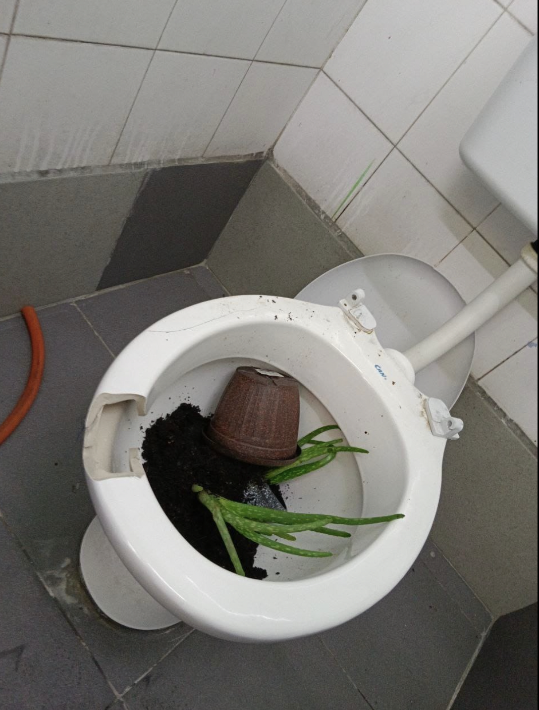 大都会:学生棍打教师引热议/7图