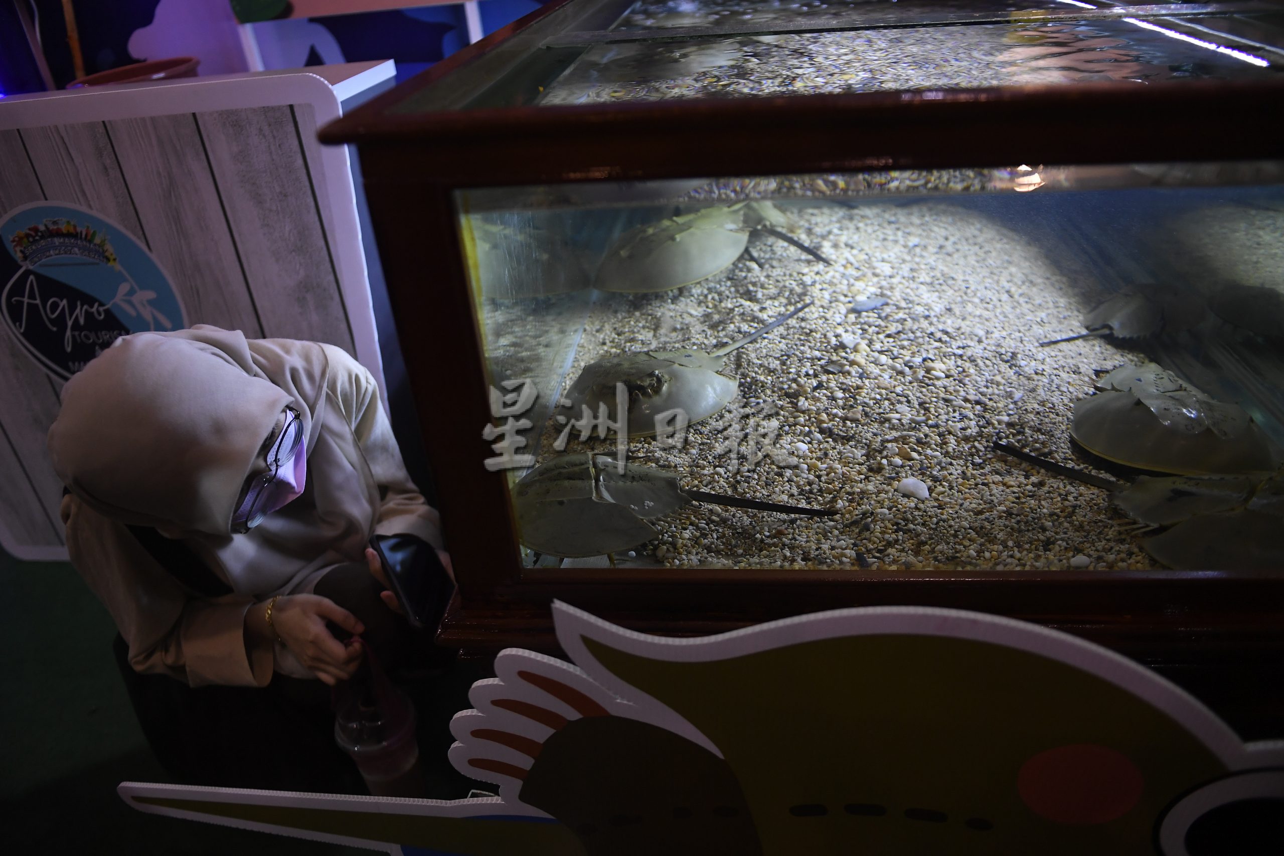 大都会/我国最大农业展画页