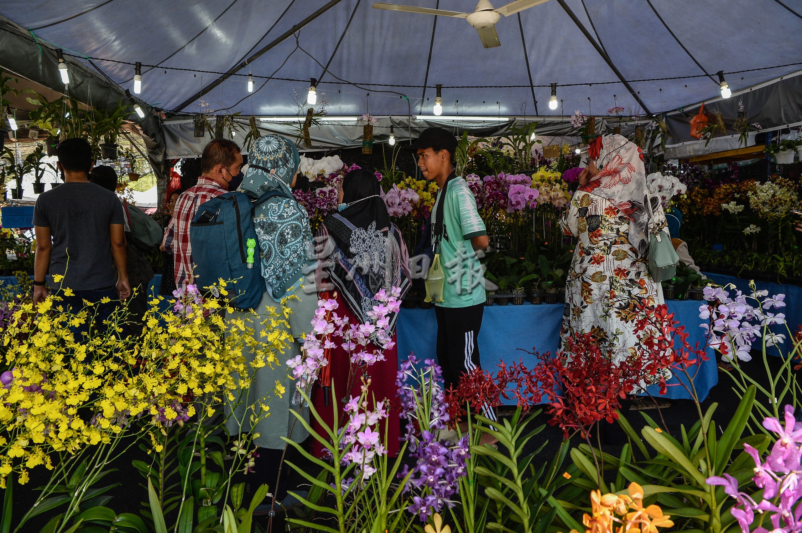 大都会/我国最大农业展画页