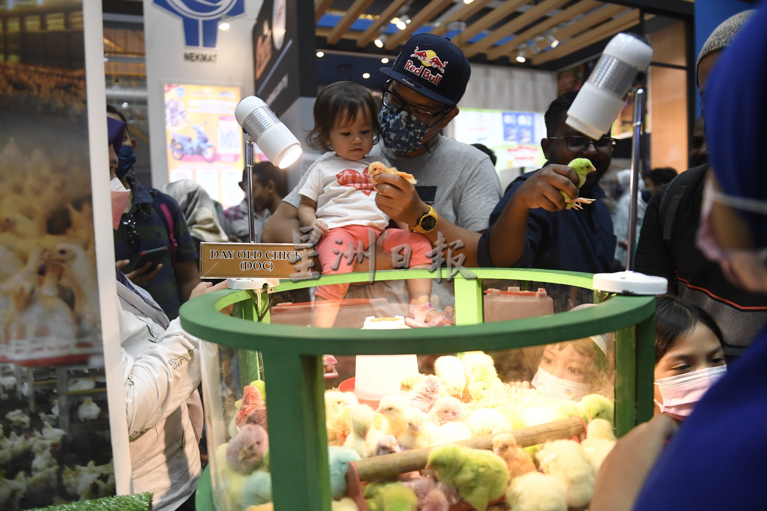 大都会/我国最大农业展画页