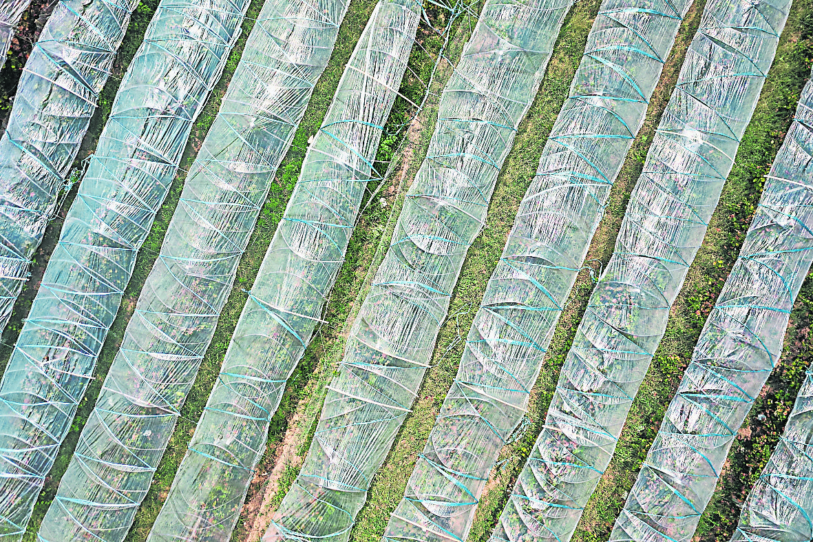 天下事 胡春华赴江西督导农业抗旱   要求尽力降低灾害损失